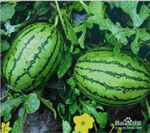 娱乐吃瓜频道有哪些,揭秘娱乐圈热点事件,追踪明星幕后故事 第3张 娱乐吃瓜频道有哪些,揭秘娱乐圈热点事件,追踪明星幕后故事 第3张