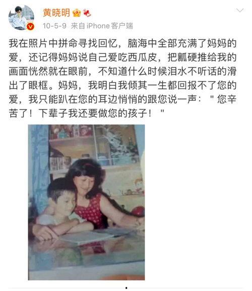 娱乐吃瓜酱感人故事,爱与梦想的交织