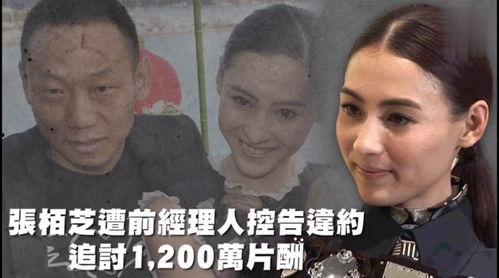 娱乐吃瓜被吐槽,揭秘明星背后的真相与争议