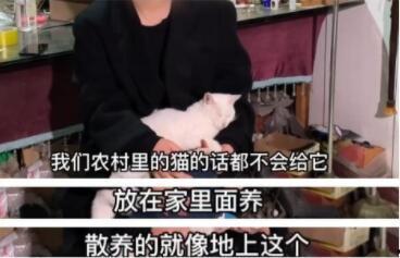 娱乐吃瓜君澄清视频,揭秘网络谣言背后的真相 第2张 娱乐吃瓜君澄清视频,揭秘网络谣言背后的真相 第2张