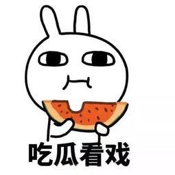 娱乐吃瓜酱脑子有问题,揭秘“脑子有问题”背后的真相与反思 第2张 娱乐吃瓜酱脑子有问题,揭秘“脑子有问题”背后的真相与反思 第2张