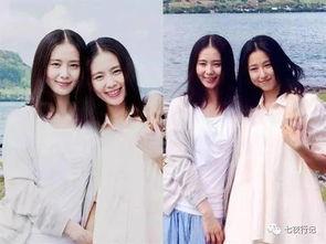 娱乐吃瓜酱替身文学,揭秘娱乐圈的“替身”现象