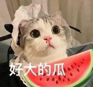 娱乐吃瓜网名女生名字,趣味横生,个性十足 第1张 娱乐吃瓜网名女生名字,趣味横生,个性十足 第1张