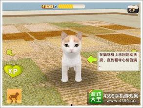 娱乐吃瓜君罗小猫,揭秘娱乐圈幕后故事,带你吃瓜一箩筐 第2张 娱乐吃瓜君罗小猫,揭秘娱乐圈幕后故事,带你吃瓜一箩筐 第2张