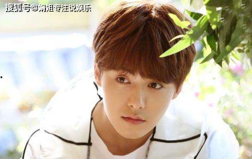 娱乐吃瓜君马天宇,从勤勉boy到争议焦点  第2张