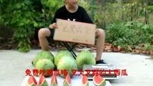 吃瓜娱乐搞笑视频大全,笑料横生!吃瓜娱乐搞笑视频大盘点 第2张 吃瓜娱乐搞笑视频大全,笑料横生!吃瓜娱乐搞笑视频大盘点 第2张