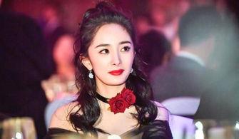 娱乐吃瓜离婚女明星,揭秘离婚女明星的吃瓜历程