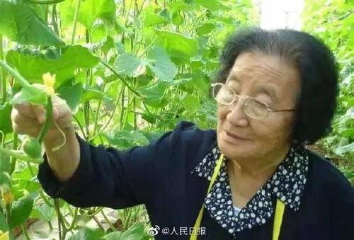 娱乐吃瓜菌生活中,吃瓜菌带你领略幕后风云 第1张 娱乐吃瓜菌生活中,吃瓜菌带你领略幕后风云 第1张