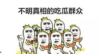 带你吃瓜奇葩娱乐设施,带你探索那些令人捧腹的“吃瓜”娱乐设施  第2张