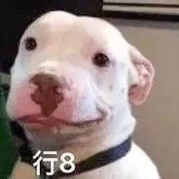 娱乐圈吃瓜小羊,揭秘娱乐圈背后的秘密与八卦 第3张 娱乐圈吃瓜小羊,揭秘娱乐圈背后的秘密与八卦 第3张