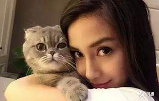 娱乐吃瓜猫咪视频大全,猫咪吃瓜视频大盘点 第2张 娱乐吃瓜猫咪视频大全,猫咪吃瓜视频大盘点 第2张