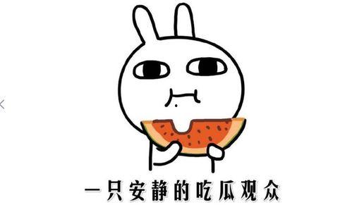 娱乐吃瓜酱自闭孙子,揭秘背后的感人故事  第2张